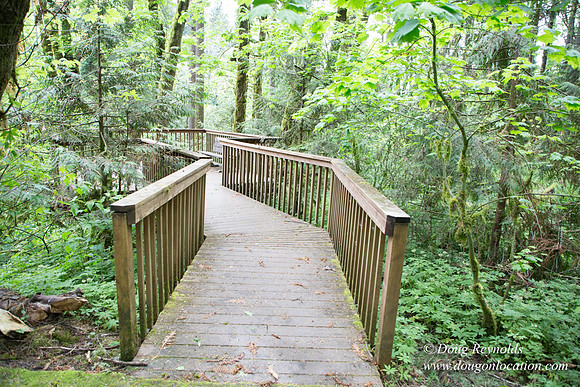 Tryon State Park