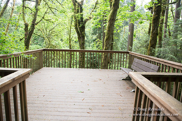 Tryon State Park