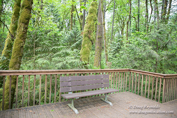 Tryon State Park
