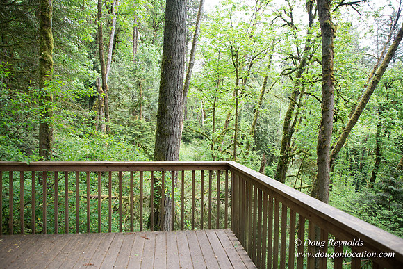 Tryon State Park