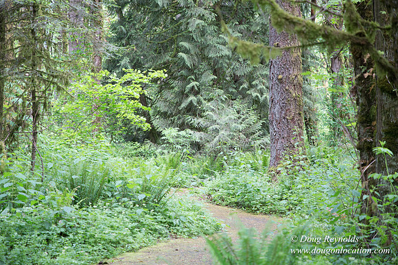 Tryon State Park