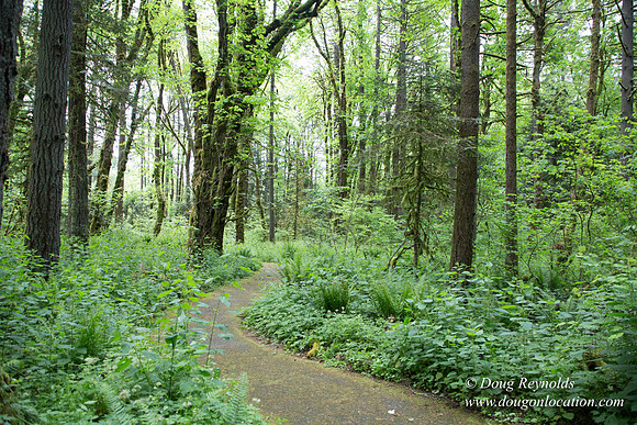 Tryon State Park
