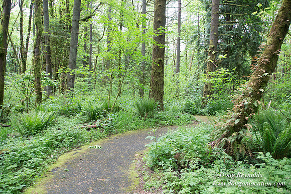 Tryon State Park