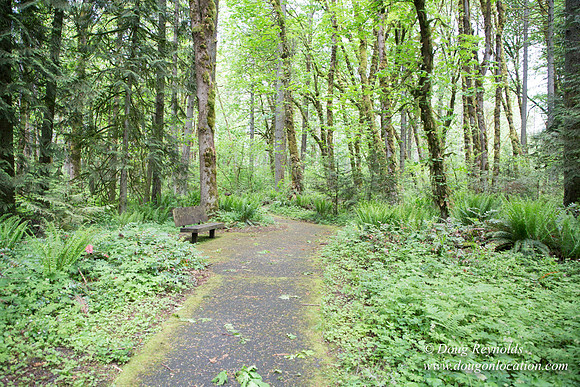 Tryon State Park