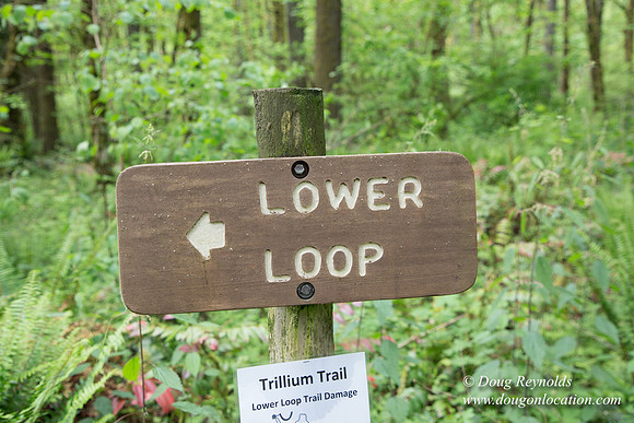 Tryon State Park