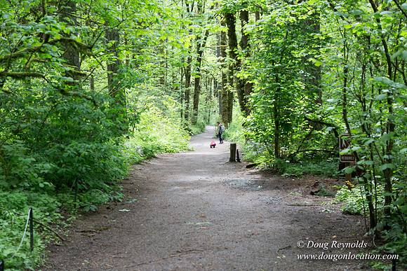 Tryon State Park