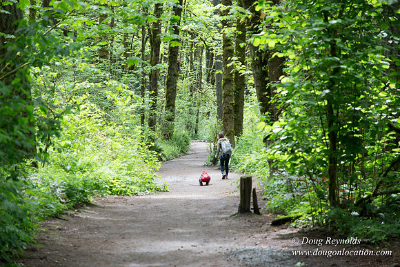 Tryon State Park