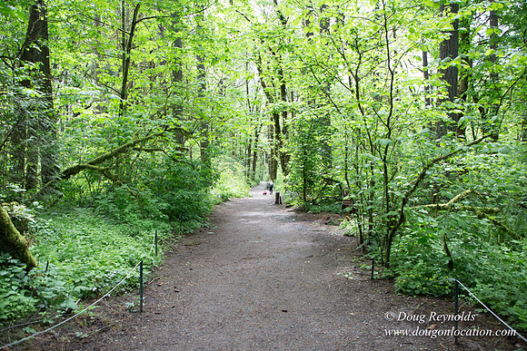 Tryon State Park