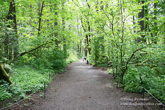 Tryon State Park