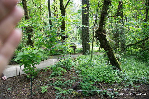 Tryon State Park
