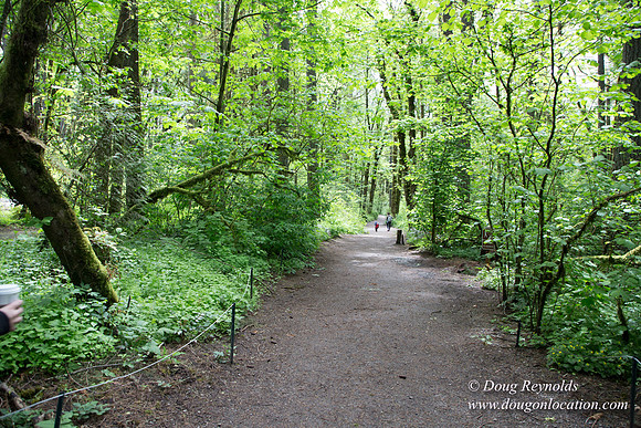 Tryon State Park