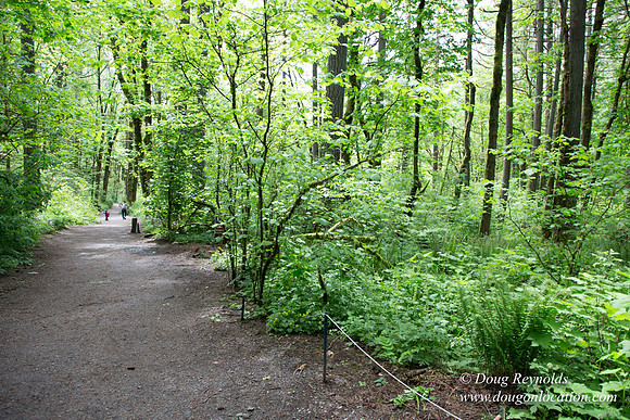 Tryon State Park
