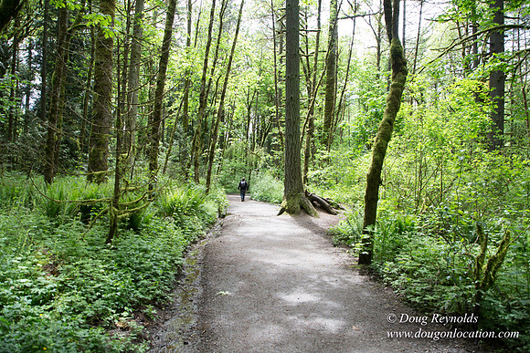 Tryon State Park