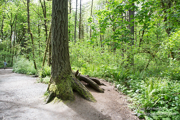 Tryon State Park