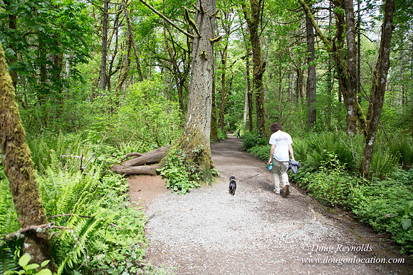Tryon State Park