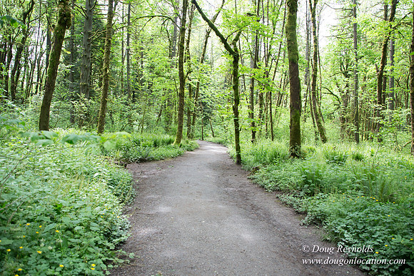 Tryon State Park