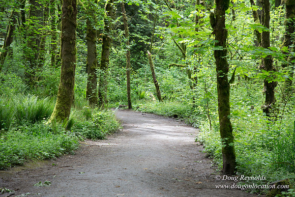Tryon State Park