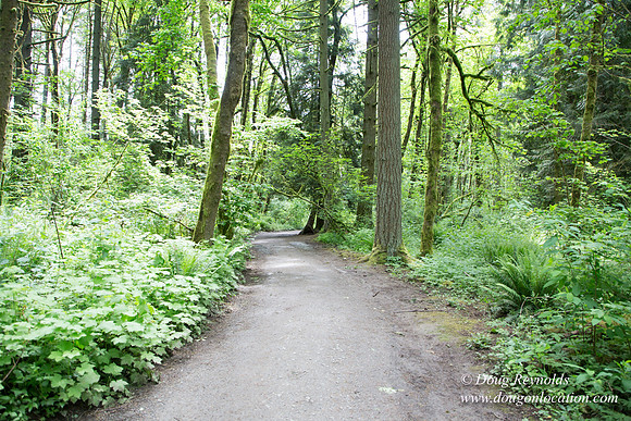 Tryon State Park