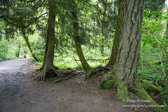 Tryon State Park