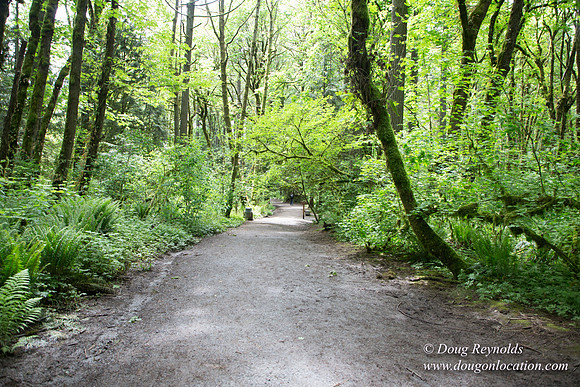 Tryon State Park