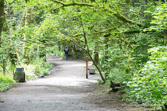 Tryon State Park