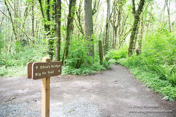 Tryon State Park