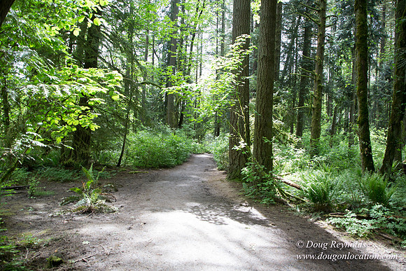 Tryon State Park