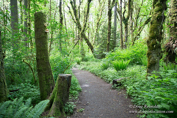 Tryon State Park