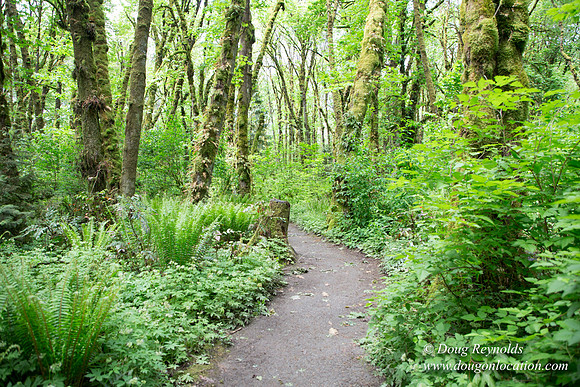Tryon State Park