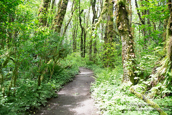Tryon State Park