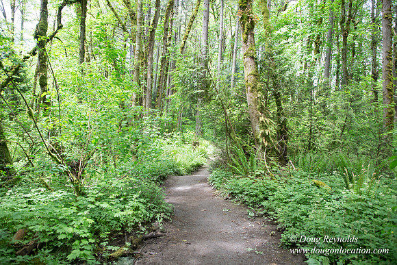 Tryon State Park