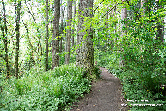 Tryon State Park