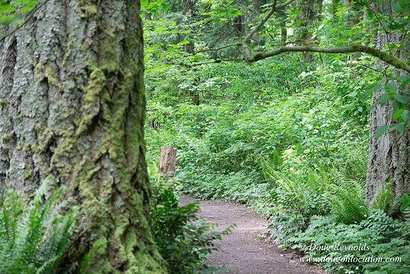 Tryon State Park