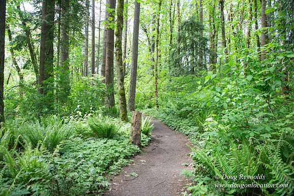 Tryon State Park