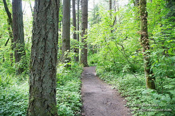 Tryon State Park