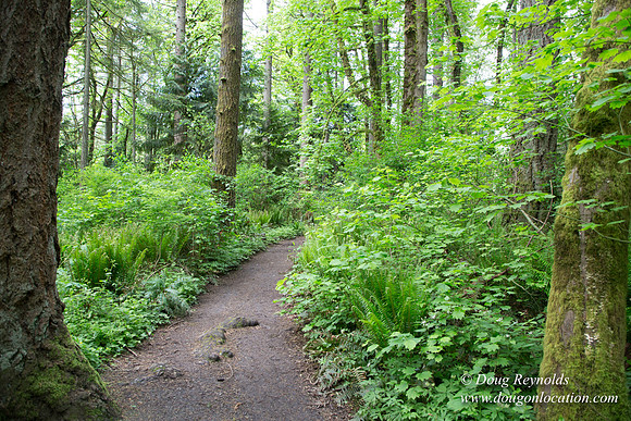 Tryon State Park