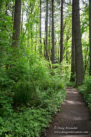 Tryon State Park