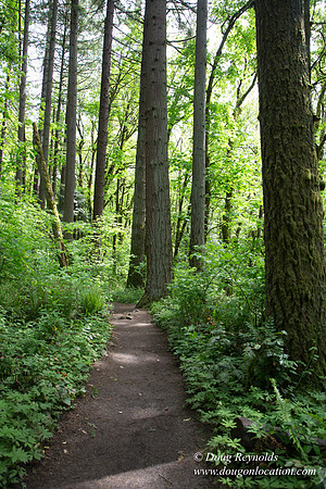 Tryon State Park