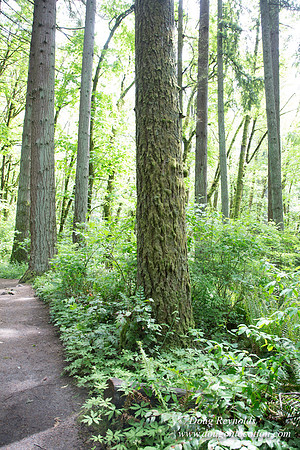 Tryon State Park