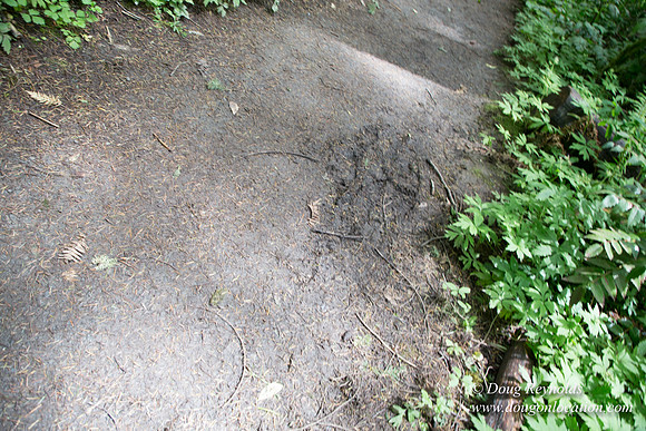 Tryon State Park