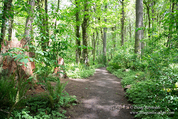 Tryon State Park