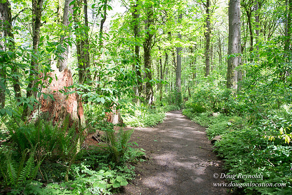 Tryon State Park