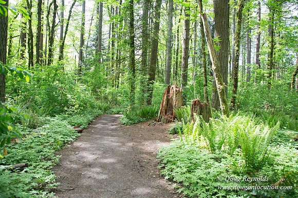 Tryon State Park