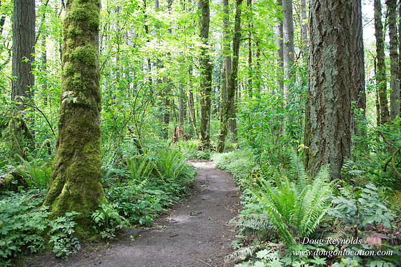 Tryon State Park
