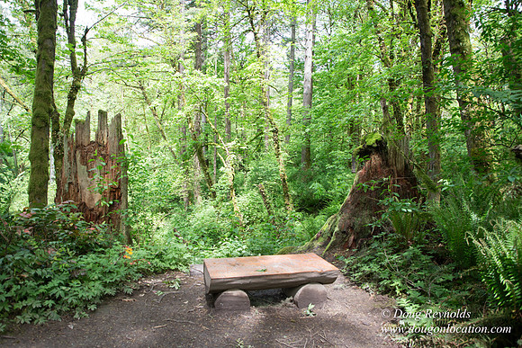 Tryon State Park