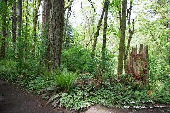 Tryon State Park