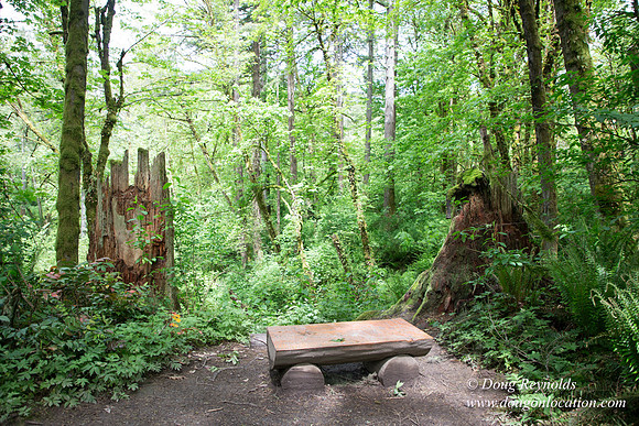 Tryon State Park