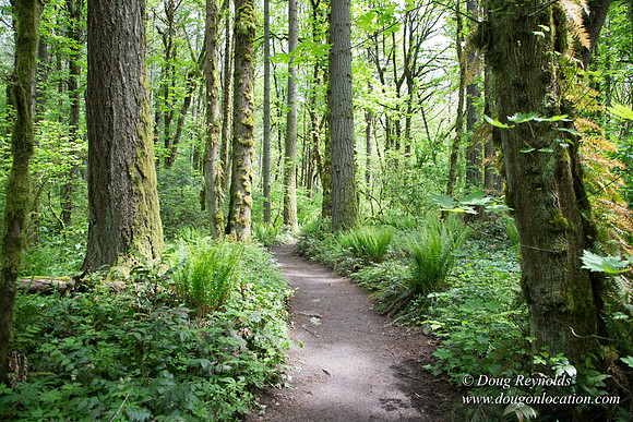 Tryon State Park