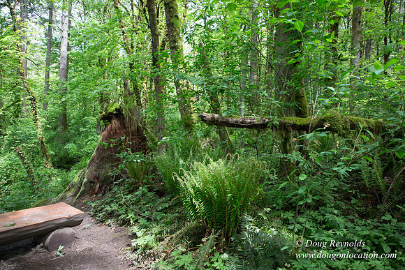Tryon State Park