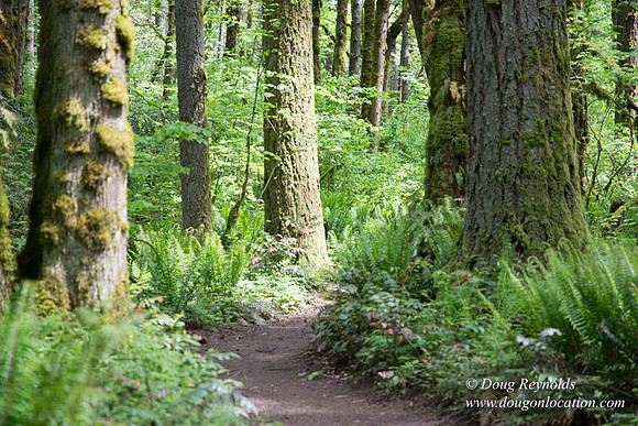 Tryon State Park